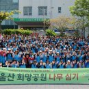 희망나무심기6 이미지