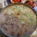 삼성애견 | [후기]천안애견동반식당 태양식당 솔직후기
