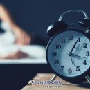 양이비인후과 네이버블로그