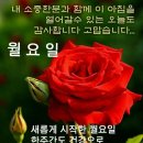 멋진하루 이미지
