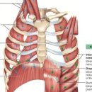 핏플로우 짐 이미지