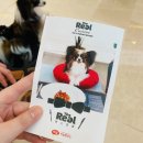 펫스토랑 이미지