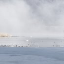 백조의 호수 이미지