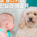 강아지털 고양이털 알레르기 (동물 개, 검사 눈 약) 이미지