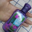 이즈앤웍스 이미지