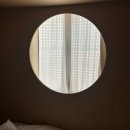 유빈네이처 | [경주여행]월정제과 밀푀유, 함양집 한우물회, 하우해브유빈, 대릉원, 최영화빵, 룸펜, 경주역