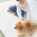 말랑유치원 이미지