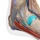 발안한의원 이미지