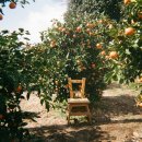 봉봉풀빌라 이미지