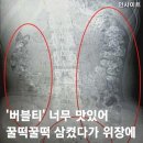 꿀떡꿀떡 이미지