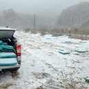 양광모농장 이미지