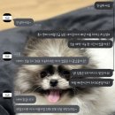 그루몽 이미지
