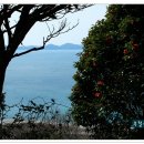 공곶이가는길 이미지