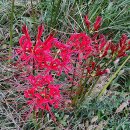 효창공원 이미지