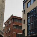 이백세약국 이미지