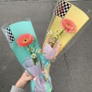 십루트이플로