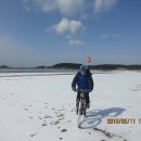 몽산포 송림 이미지