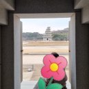 황금복권방 이미지