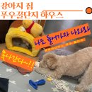 미솜하우스 | <강아지집> 펫파라다이스 푸우 꿀단지 하우스 사용후기