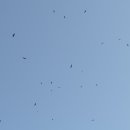 철성중학교 이미지