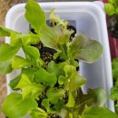 가랑농장 이미지