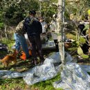 부계면사무소 이미지