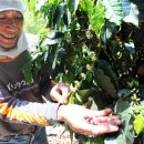 고도농장 이미지