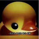 쉬는나무한의원 이미지