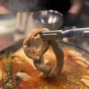 한제소곱창전골 안양일번가점 이미지