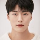 메인컴퍼니 스포츠경향
