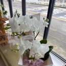 인플라워 | W3.[대전]대전상견례 '케이인하우스 루'대전상견례난 '플라워아뜰리에정온' 후기