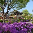 제천국민체육센터 이미지