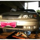 코뿔소카센타 이미지