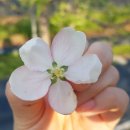 상은농장 이미지