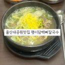 미미 매운칼국수 | 울산 대공원맛집 평이담백 뼈칼국수 울산옥동점