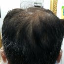 오땡큐 천연머리염색 이미지