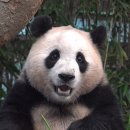 (주)마켓월드 이미지