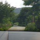 펜션파프리카화이트