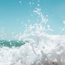 월가힐링 이미지