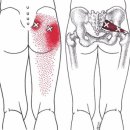 CM Fitness 이미지