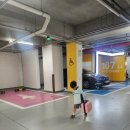 선재유일390 이미지