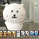 당산중학교 내 | 노베이스 비전공자 문과생 제46회 ADsP 독학 턱걸이 합격 수기 (feat. 일주일 벼락치기)