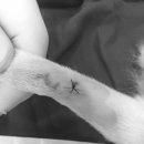 순창 동물병원 이미지