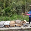 당진양봉영농조합법인 이미지