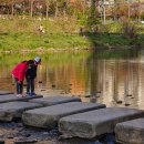 안양양지초등학교 이미지