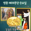 2026-07-08연중 제14주간 수요일＜이스라엘 집안의 길 잃은 양들에게 가라.＞ 이미지