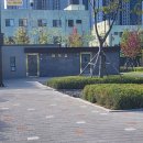 오로라애견 이미지