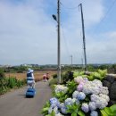 작은집 요기 이미지