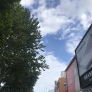 강남의림한의원 네이버블로그