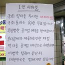 행복한 1인 시위 후기 - 나비효과 이미지
